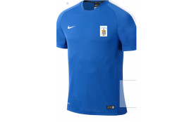 Maillot d'entrainement Adulte Squad 15